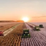 7-important-information-about-agriculture